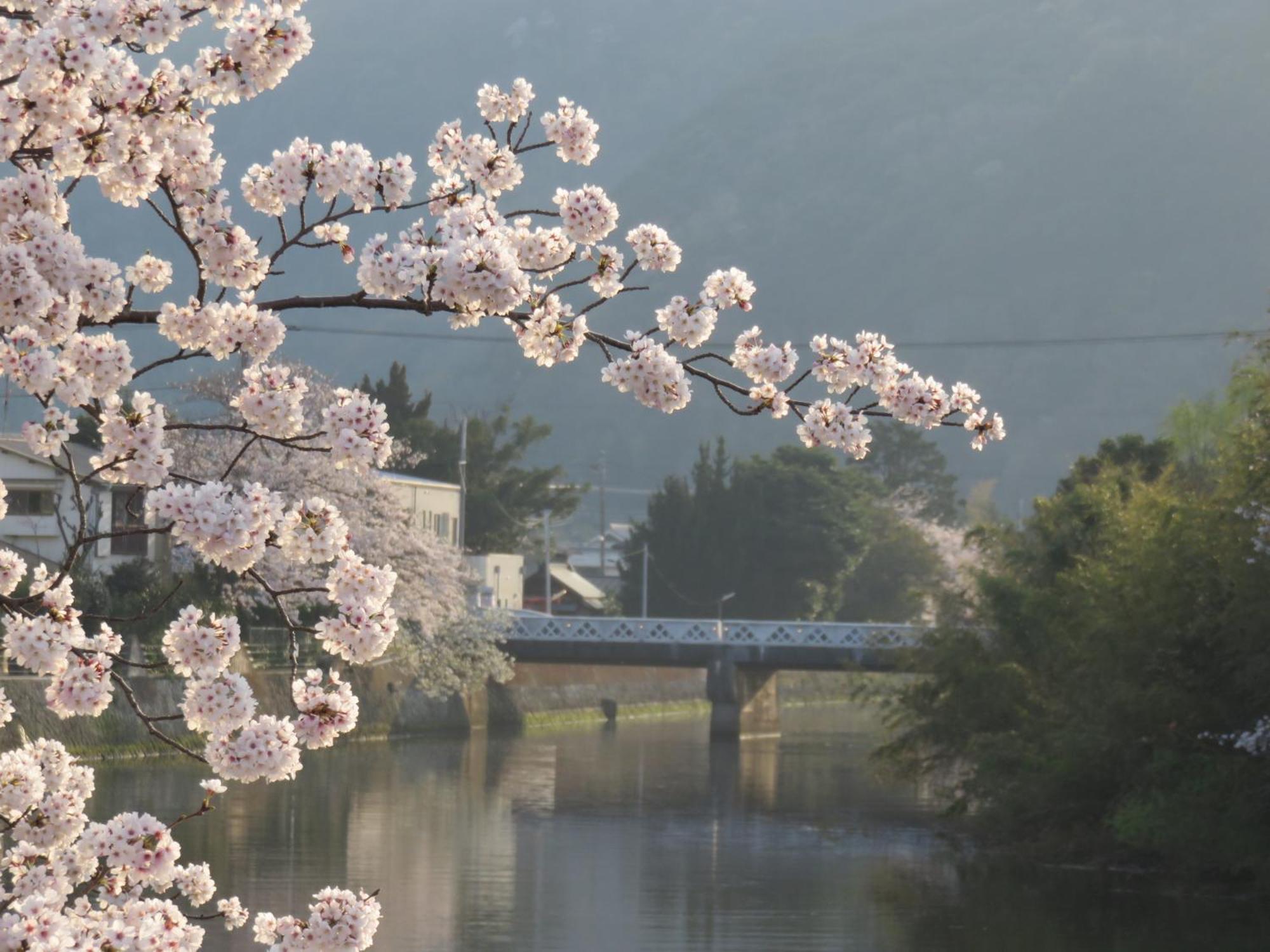 御宿 in Im Matsuzaki  Bagian luar foto